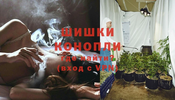 дурь Богородск