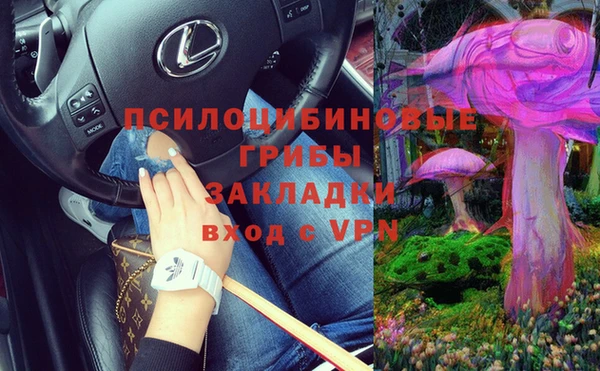 дурь Богородск