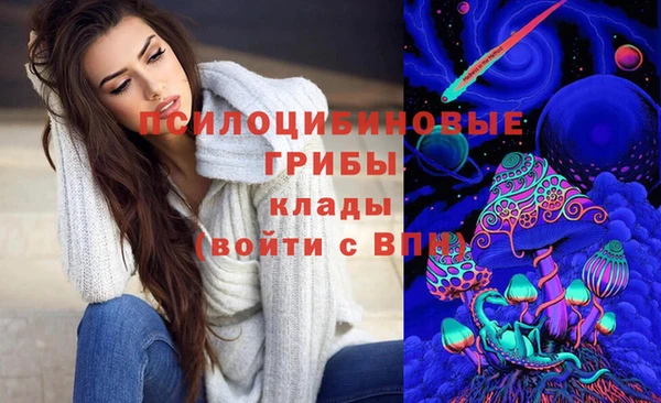 шишки Бронницы